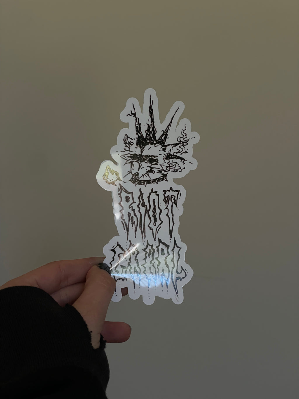 Riot Grrrl Raccoon