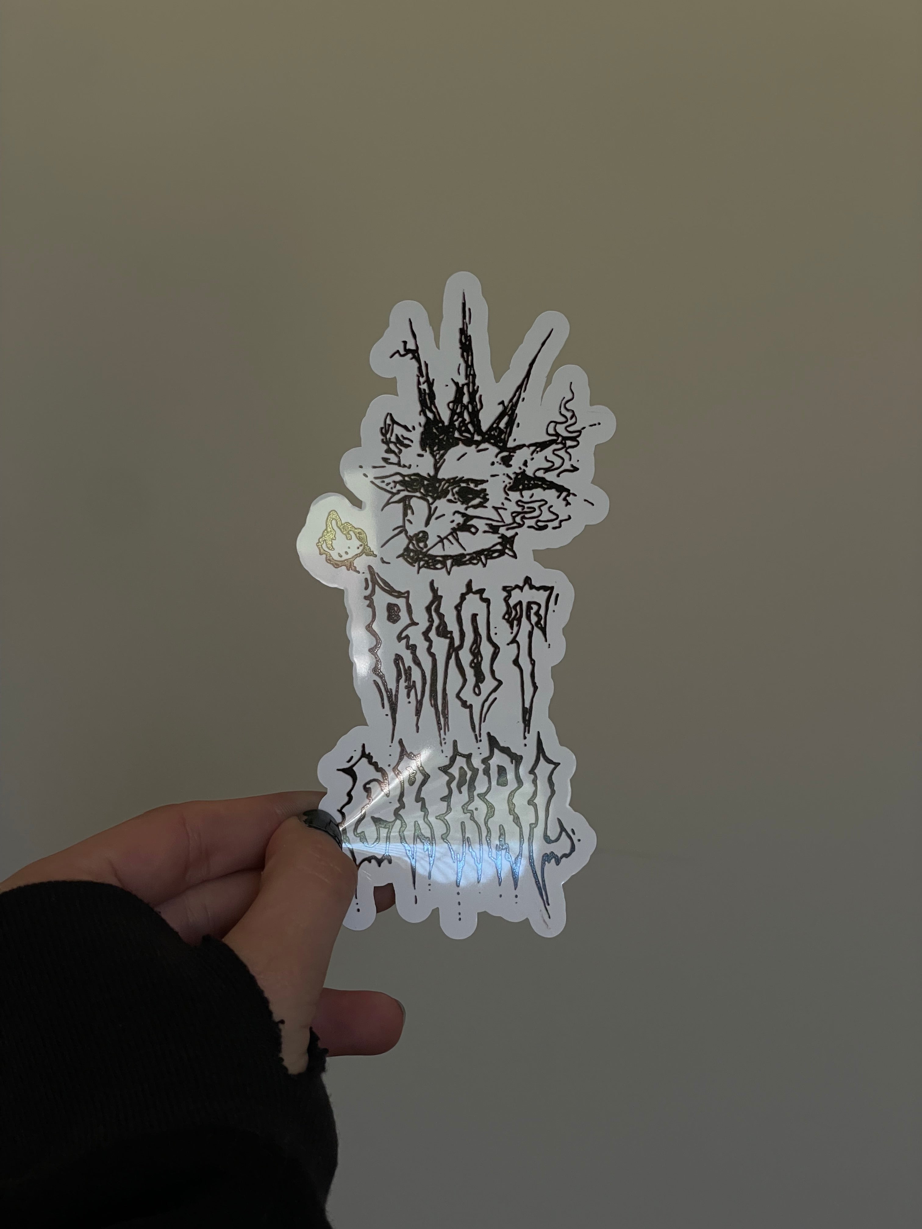 Riot Grrrl Raccoon